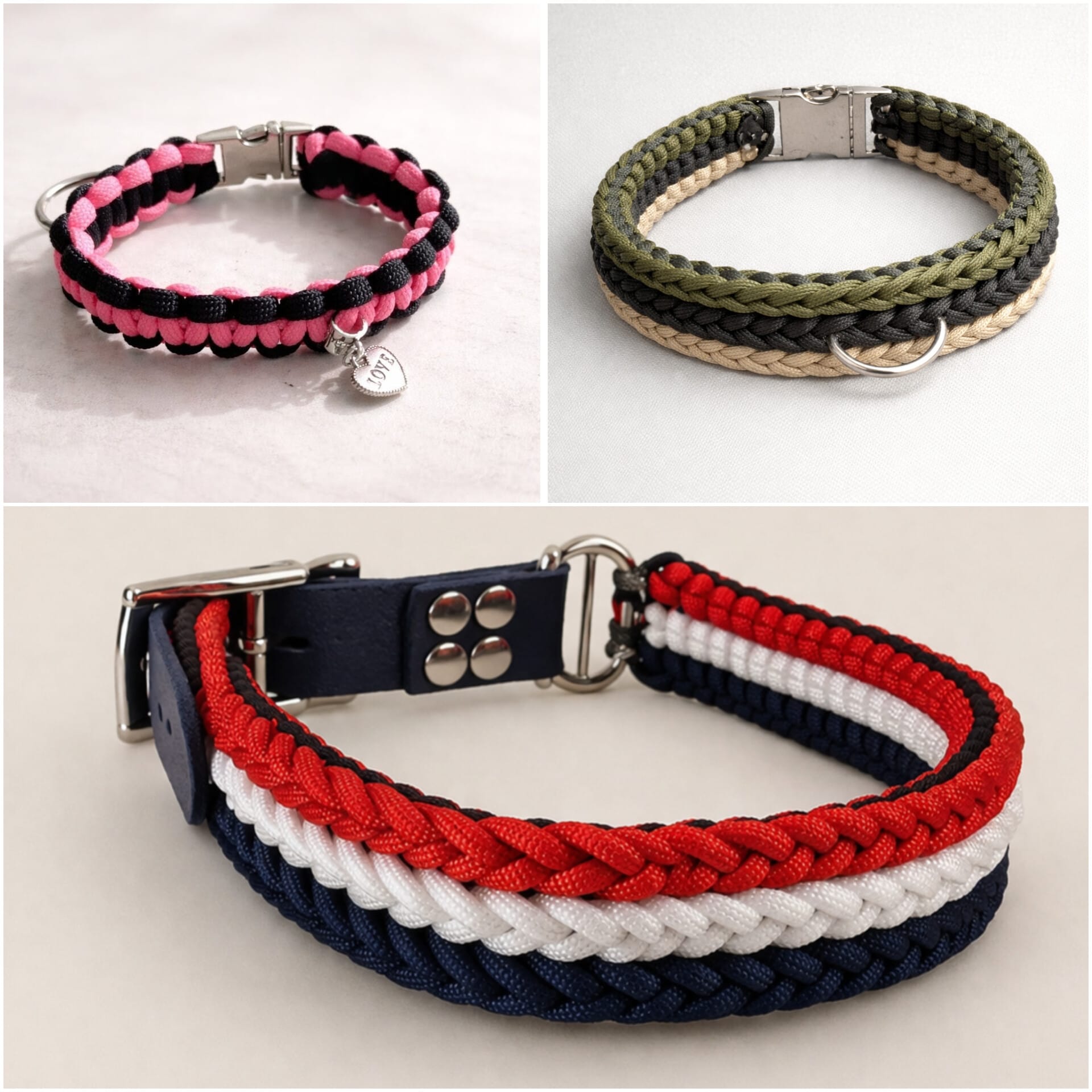 collier centre canin aredien
